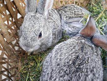 《对马岛之鬼》PC版刚公布 销量已经冲上Steam第五名